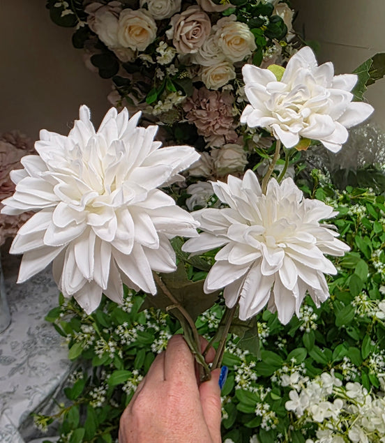 Dahlia - White