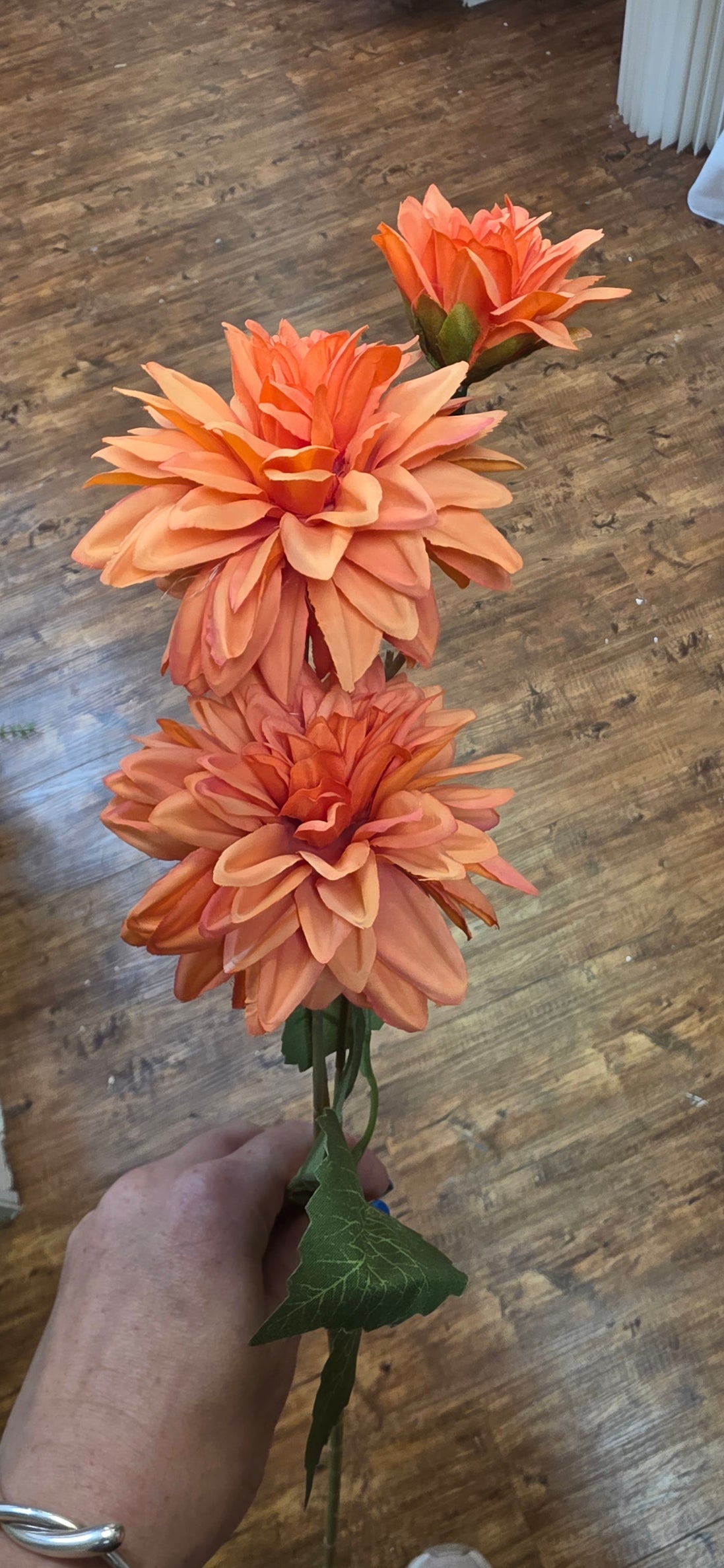 Dahlia - Orange