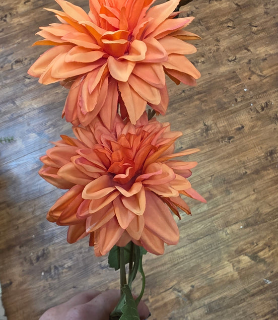 Dahlia - Orange
