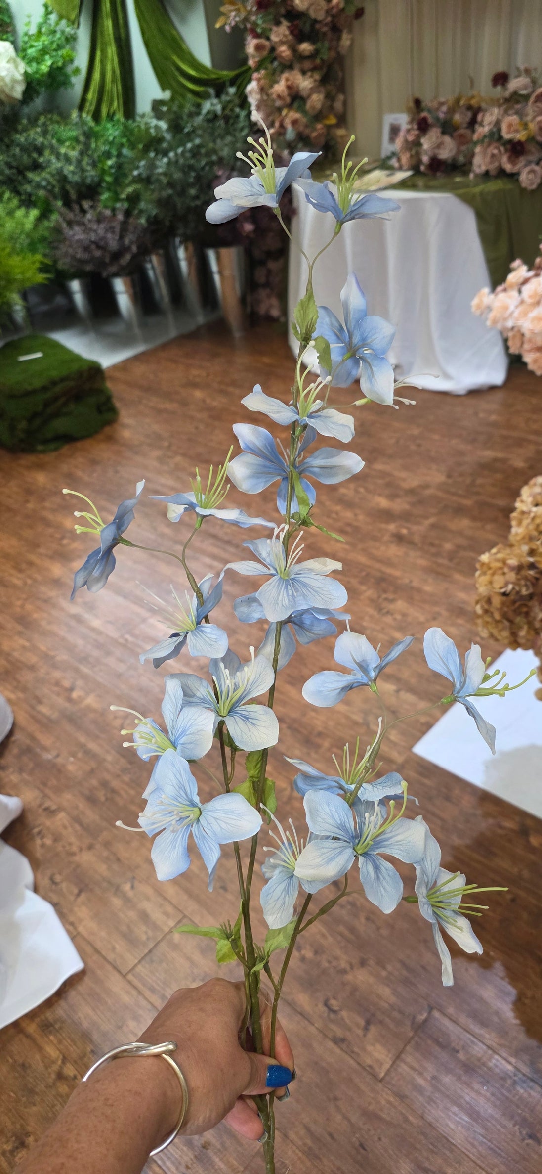 Jasmine - Blue