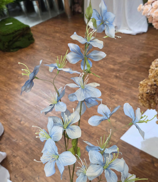 Jasmine - Blue