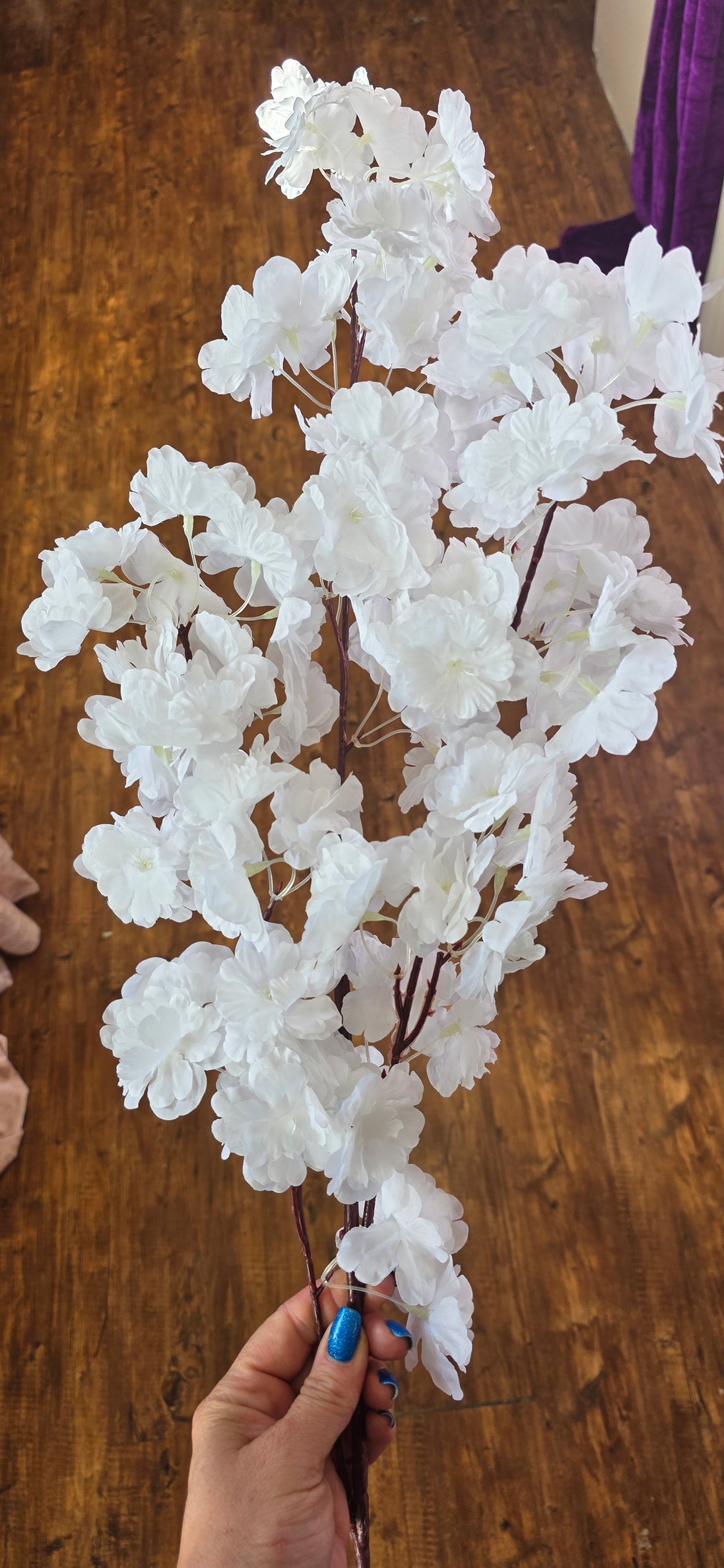 White Blossom