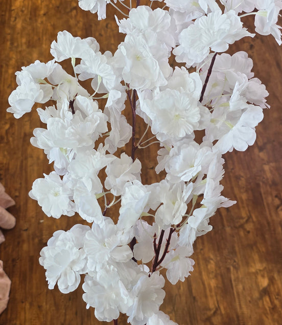 White Blossom
