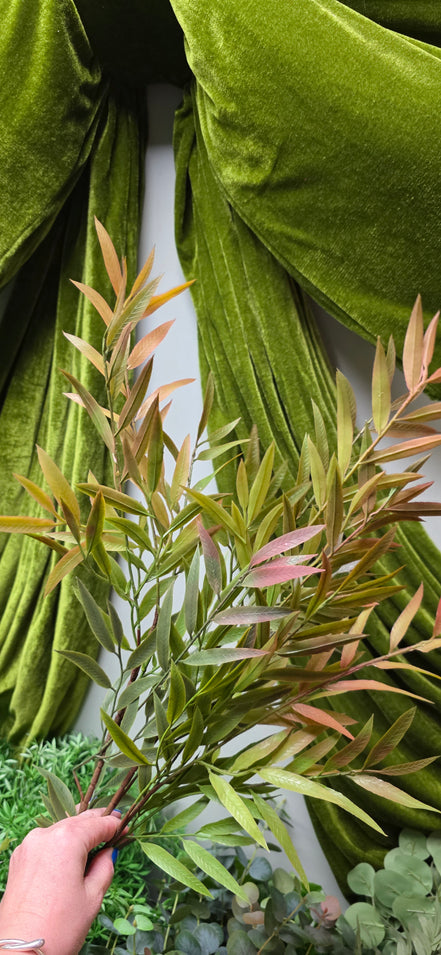 Ruscus with chocolate tips