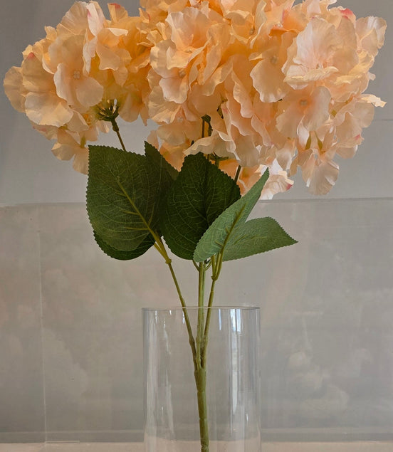 Hydrangea Bunch Peach