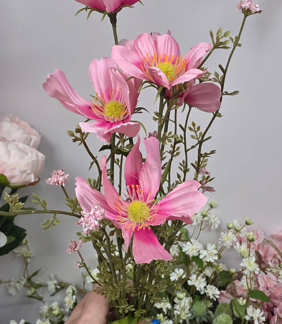 Cosmos Deep Pink