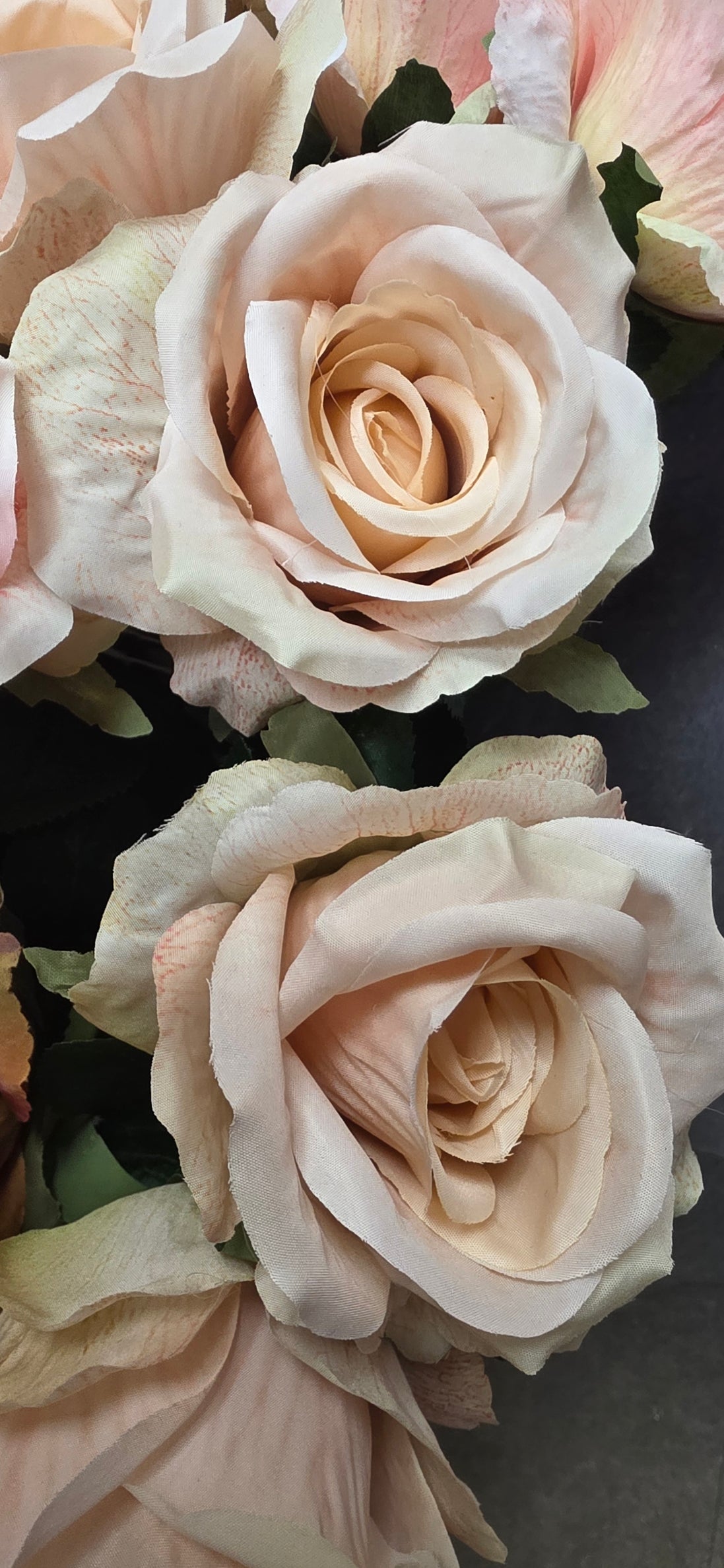 Singe Rose - Nude