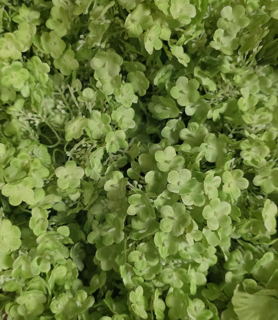Viburnham - Japanese Pom Pom - green