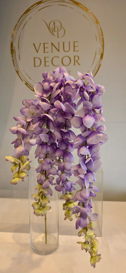 Wisteria - Purple