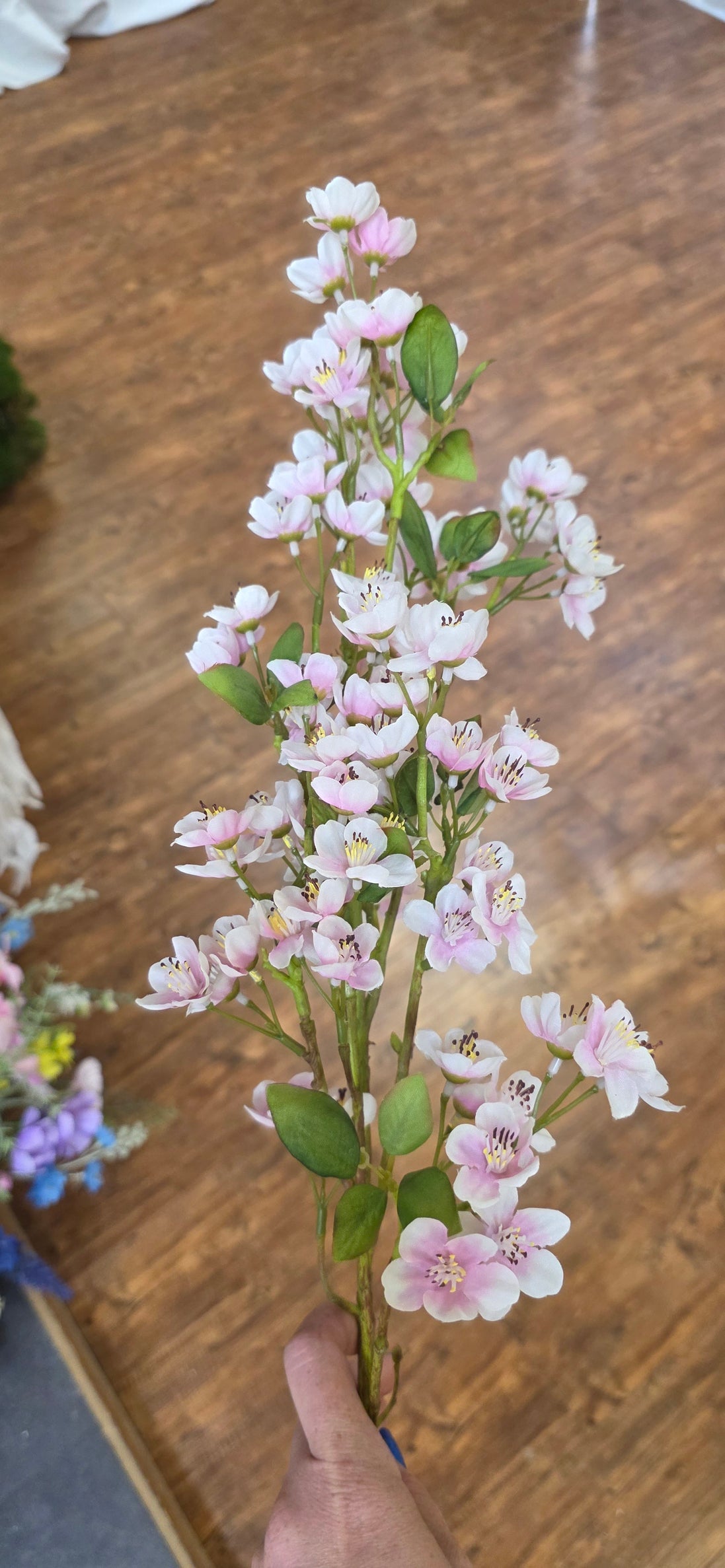 Apple Blossom - Soft Pink