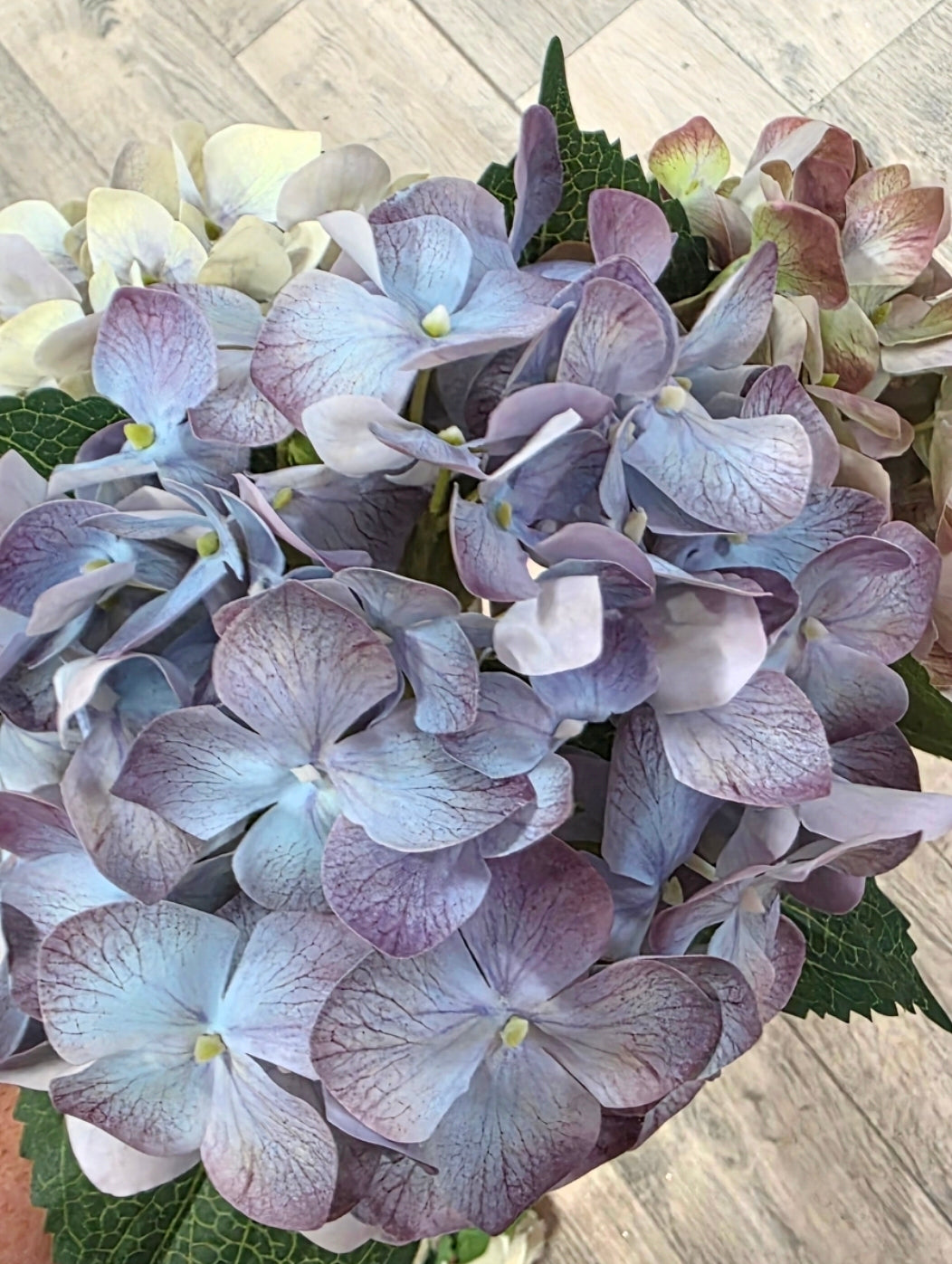 Hydrangea Real Touch blue/purple