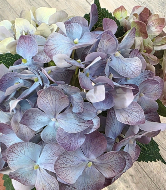 Hydrangea Real Touch blue/purple