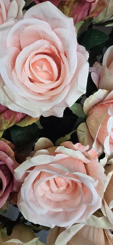 Singe Rose - Pale Pink