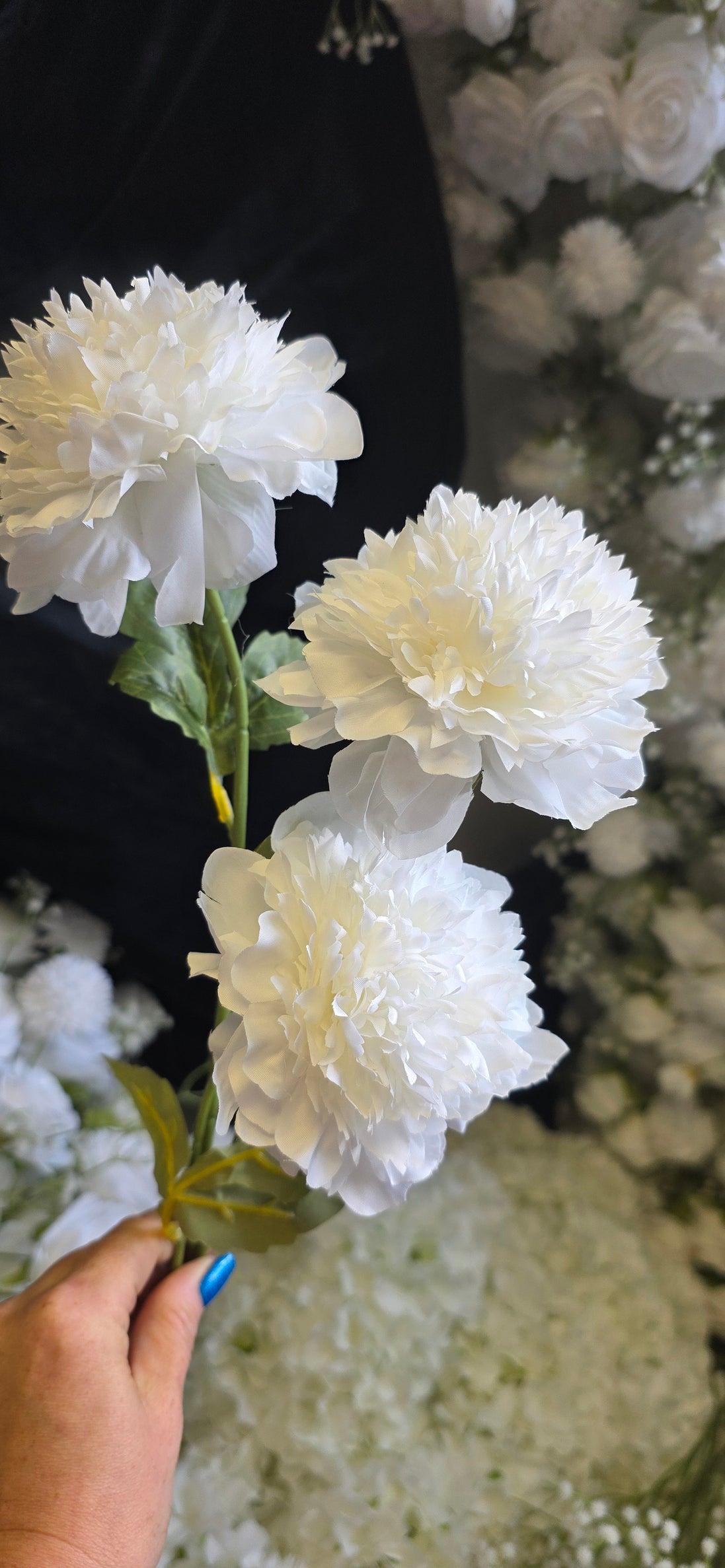 Peony Rose Trio - White