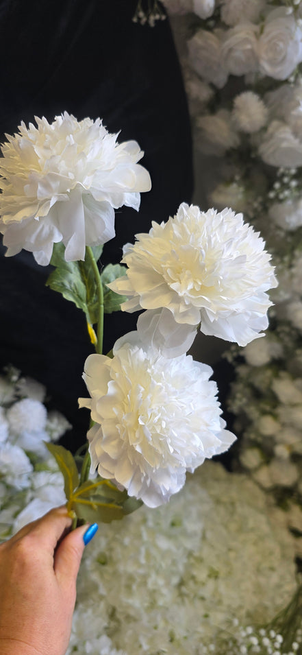 Peony Rose Trio - White
