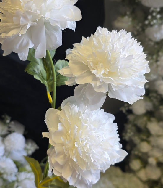 Peony Rose Trio - White