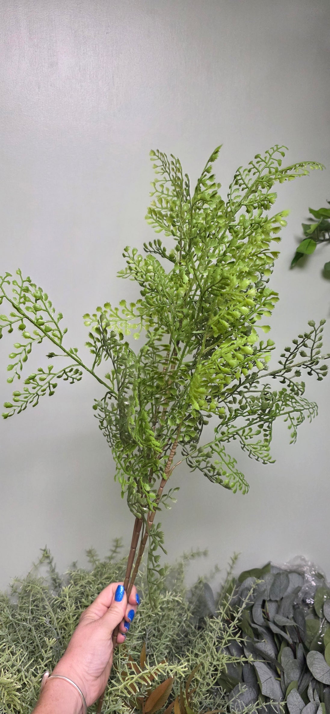 Maidenhair Fern