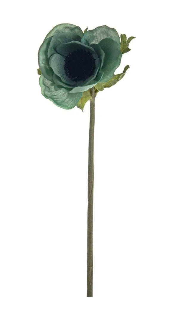 Anemone Green