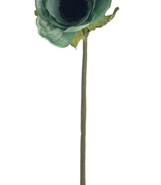 Anemone Green