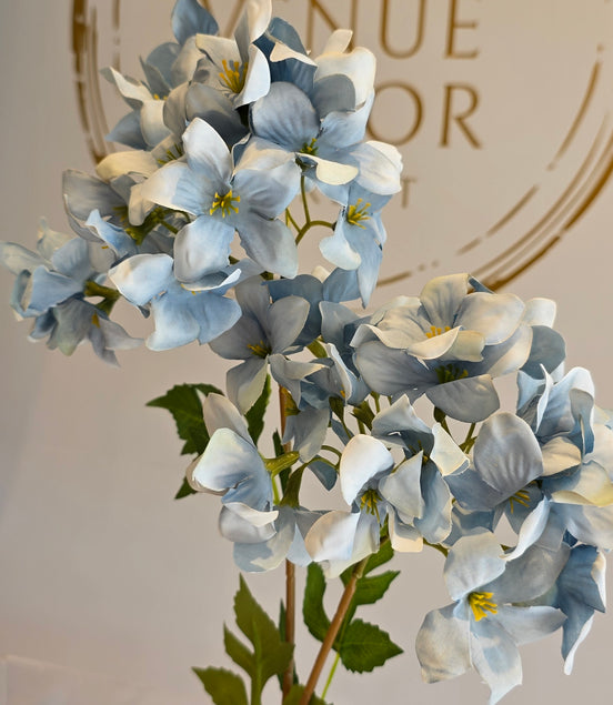 Hydrangea - 2 Headed Blue