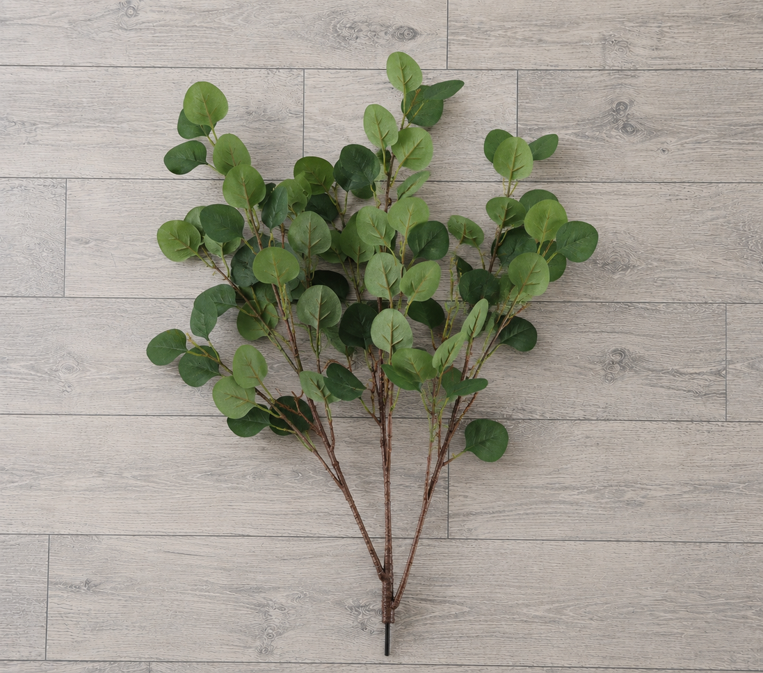 Eucalyptus Branch - Green