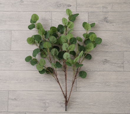 Eucalyptus Branch - Green