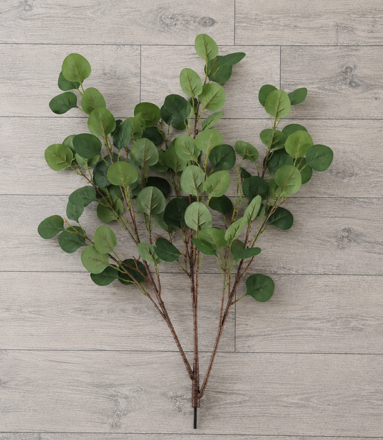Eucalyptus Branch - Green