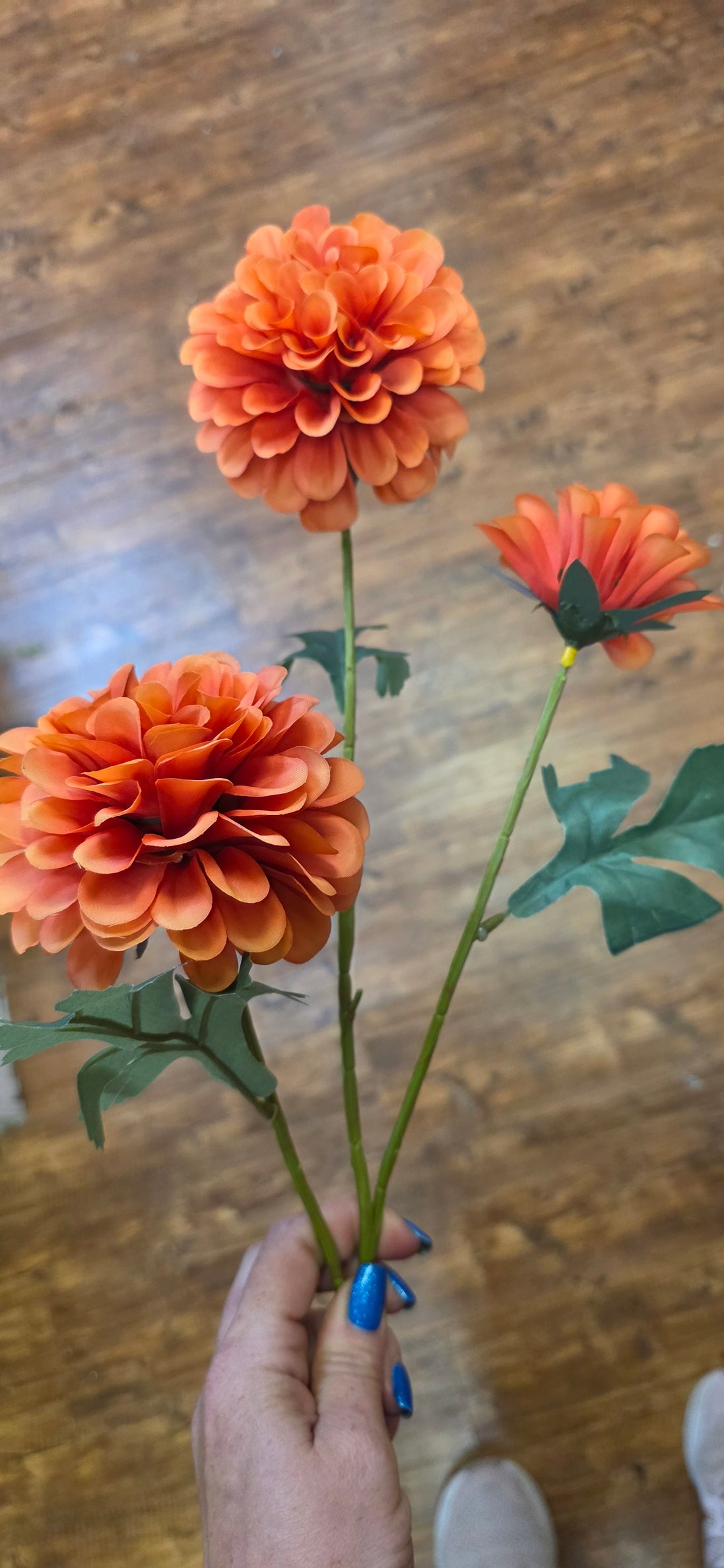 Dahlia Pom Pom - Orange