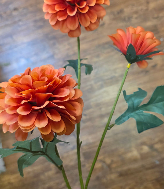 Dahlia Pom Pom - Orange