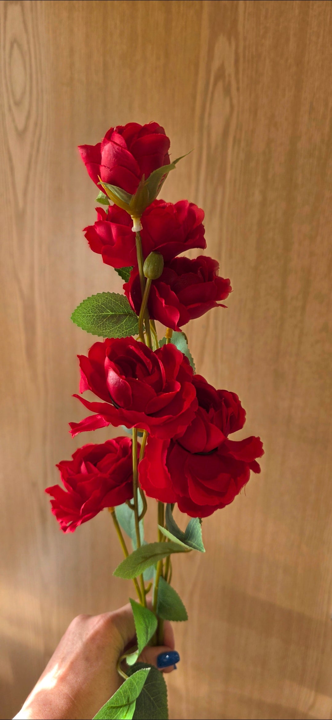 Open Spray Roses - Red