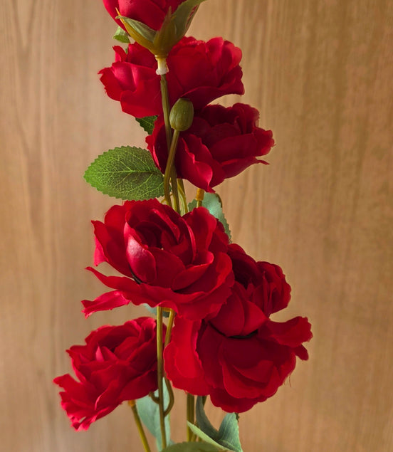 Open Spray Roses - Red