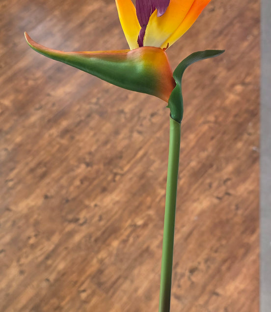 Bird of Paradise - Medium