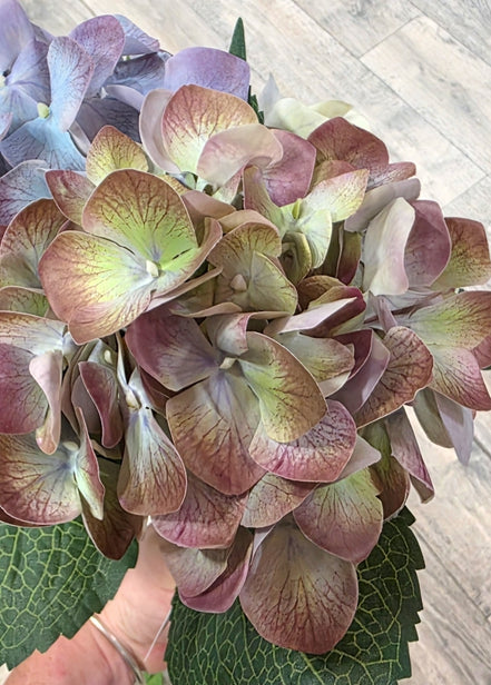 Hydrangea Real Touch red/purple classic
