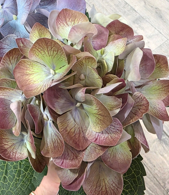 Hydrangea Real Touch red/purple classic