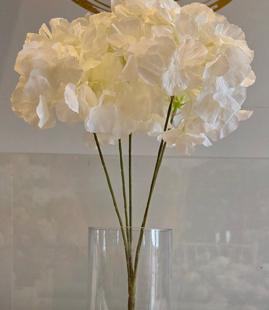 Hydrangea Bunch White
