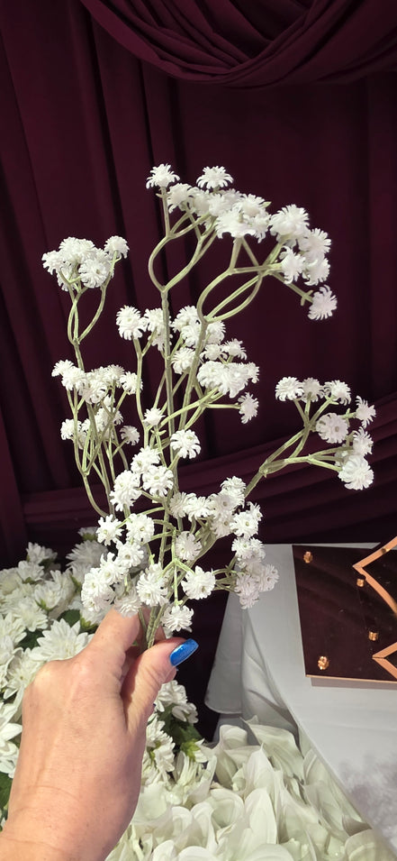 Gypsophila - Premium
