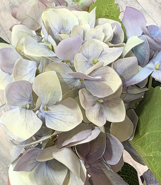 Hydrangea Real Touch lilac/green classic