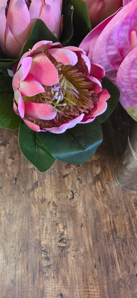 Protea - Deep Pink