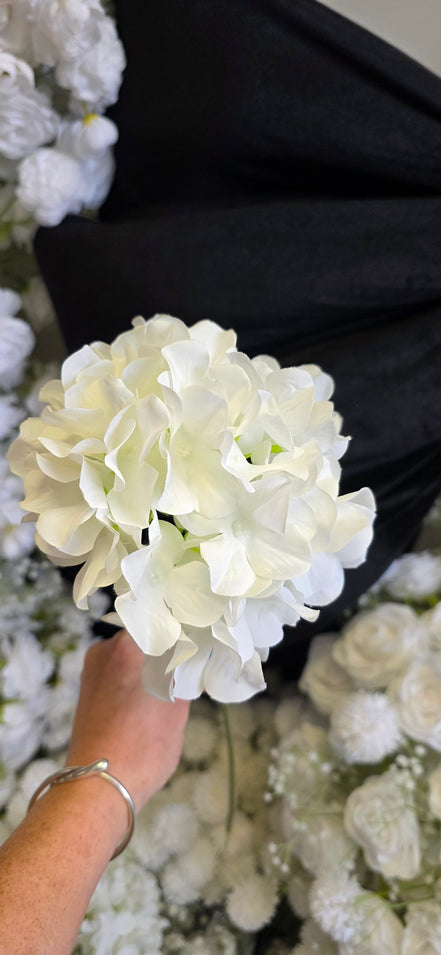Hydrangea - White
