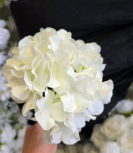 Hydrangea - White