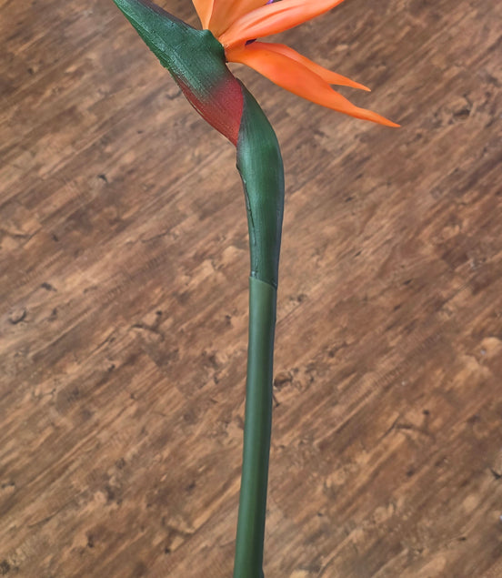 Bird of Paradise - Large