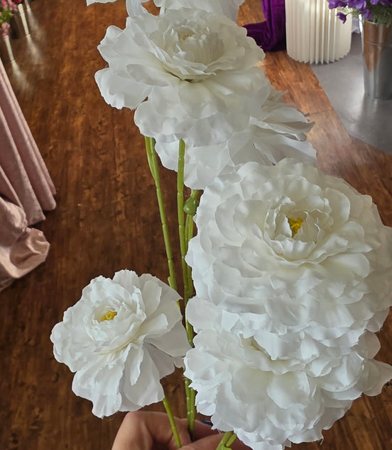 Garden Spray Rose - White