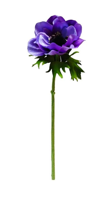 Anemone Purple