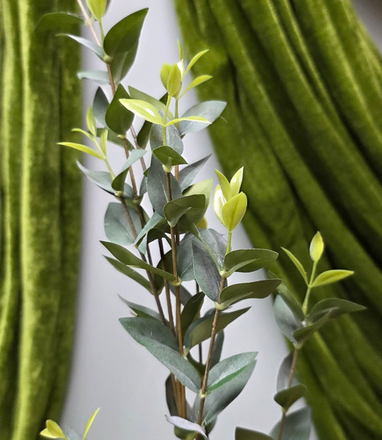 Parvifolia