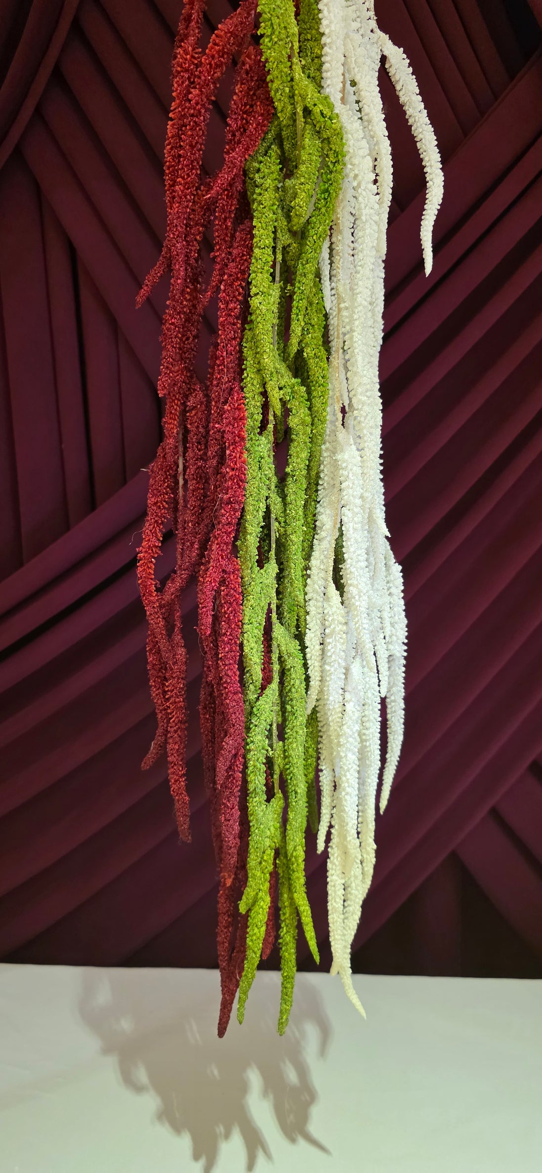 Amaranthus Red