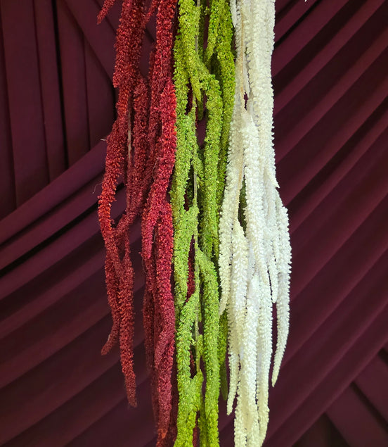 Amaranthus Green