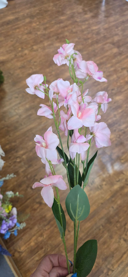 Sweet Pea - Pink