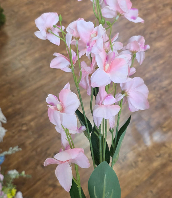 Sweet Pea - Pink