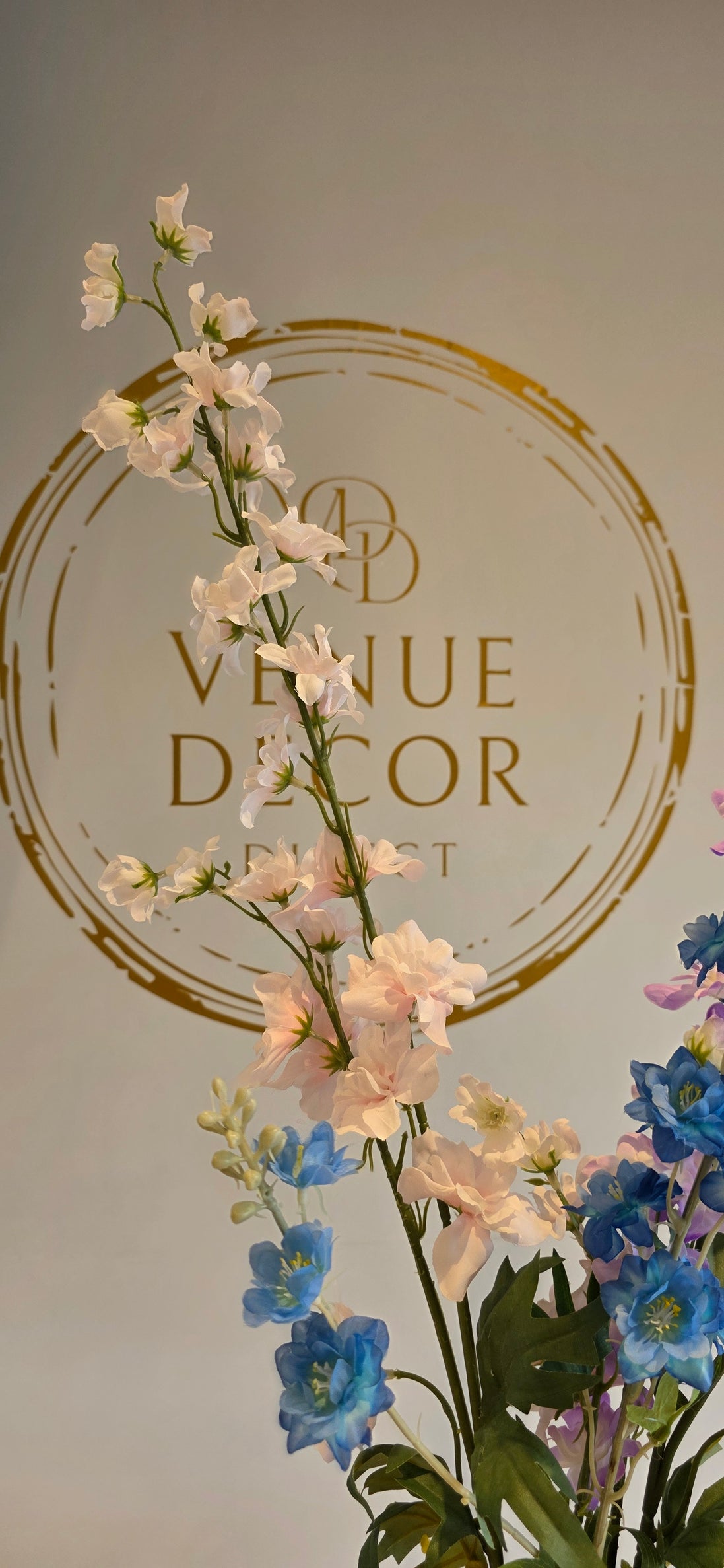Delphinium Pale Pink