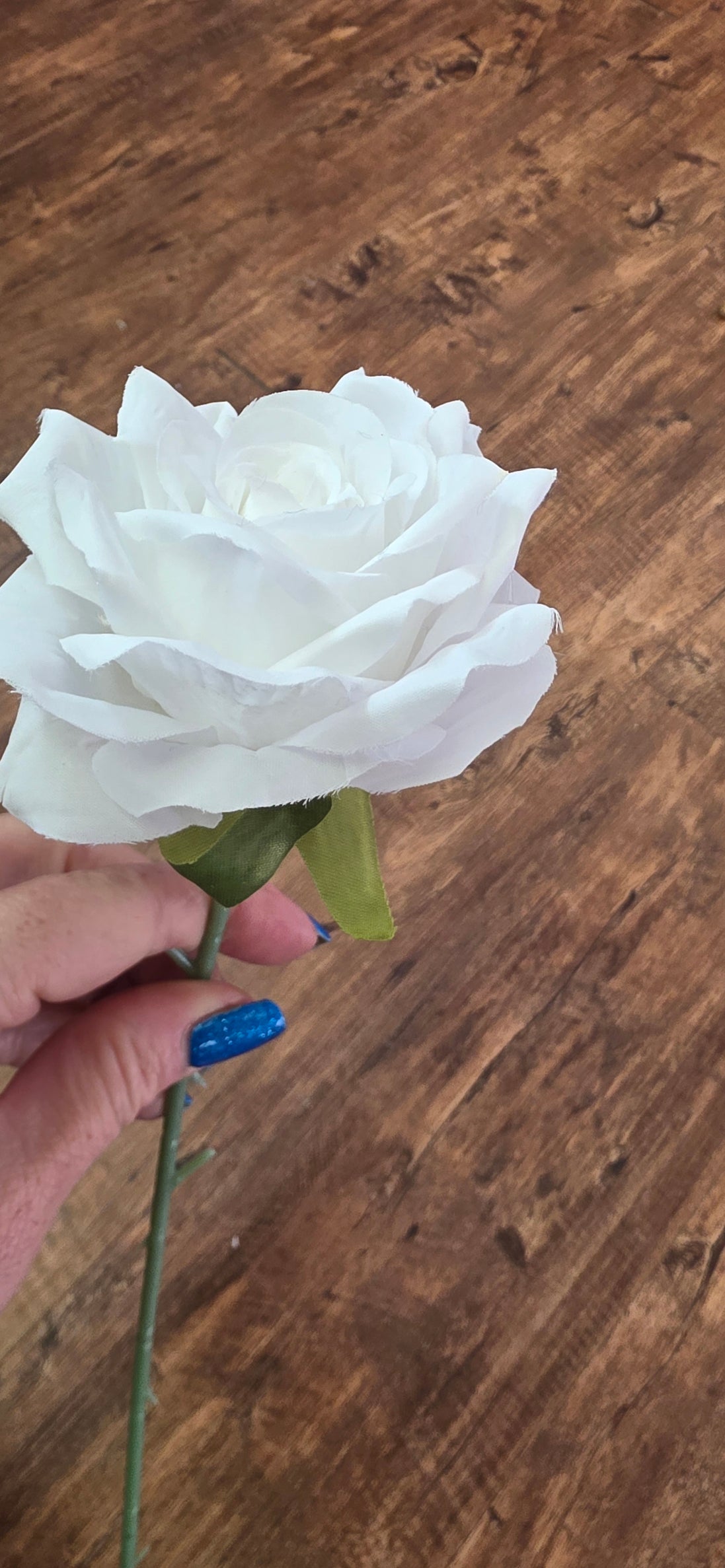 Tea Rose Stem - White Medium with Sepal
